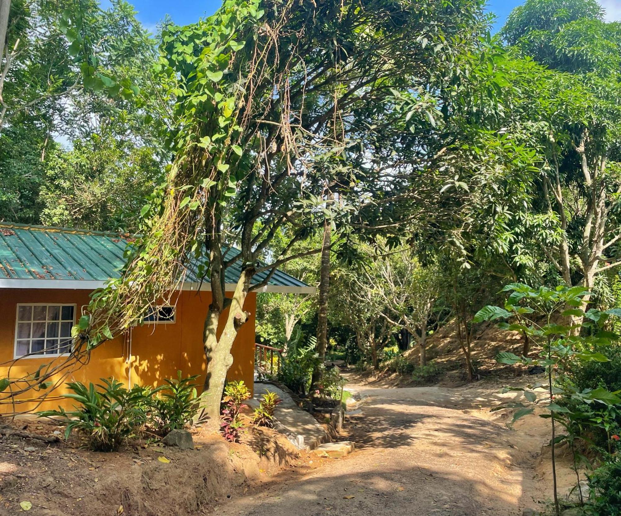 Hotel La Casablanca Tayrona Калабасо Экстерьер фото